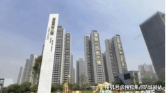 规划12年全学段学校、病院、贸易核心等配